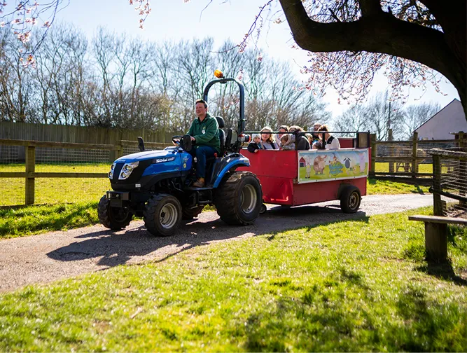 Woodside Animal Farm Tractor Rides