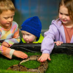 Woodside Animal Farm