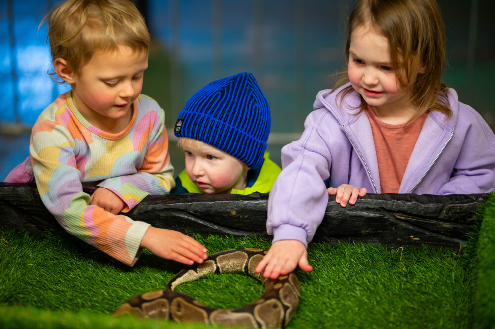 Woodside Animal Farm